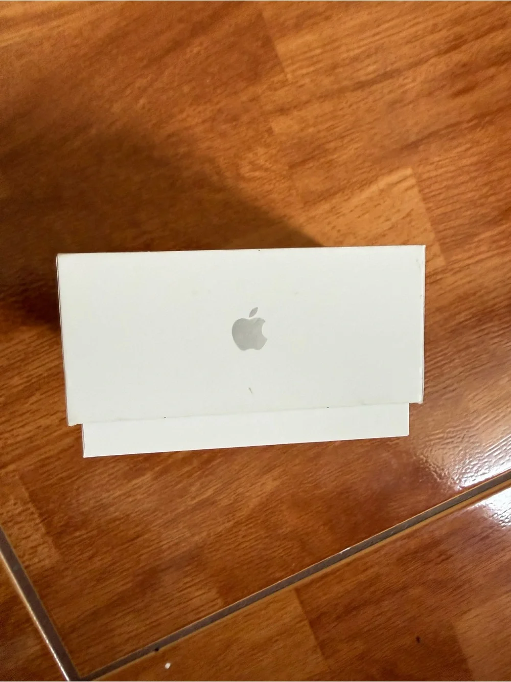 Apple AirPods Pro case / box only